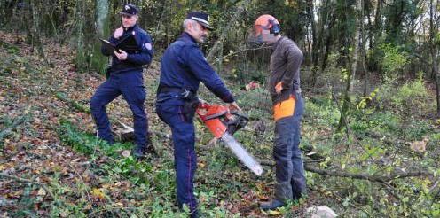 Al lavoro nel bosco ma da irregolare Multe e denunce