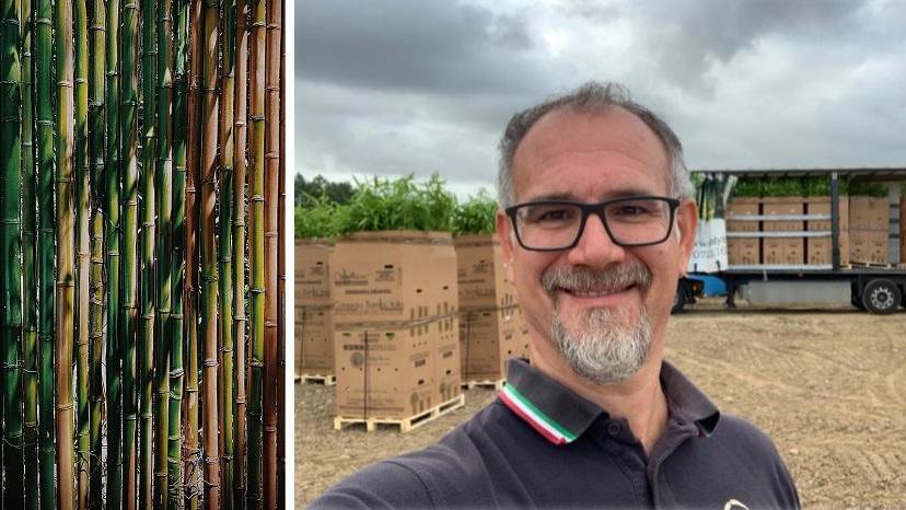 Mauro Lajo, vicepresidente di Forever Bambù ed esperto di agricoltura simbiotica e biodinamica