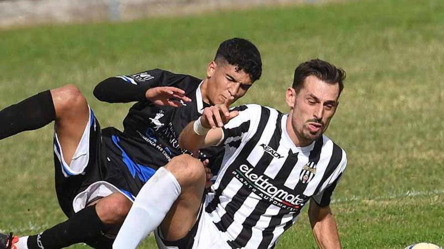 Massese regina del mercato Ecco Thiam e Malanchi