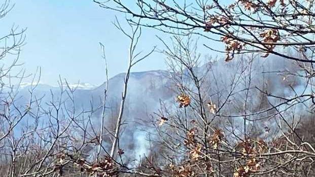 Due elicotteri in azione per spegnere le fiamme nei boschi di Crasciana