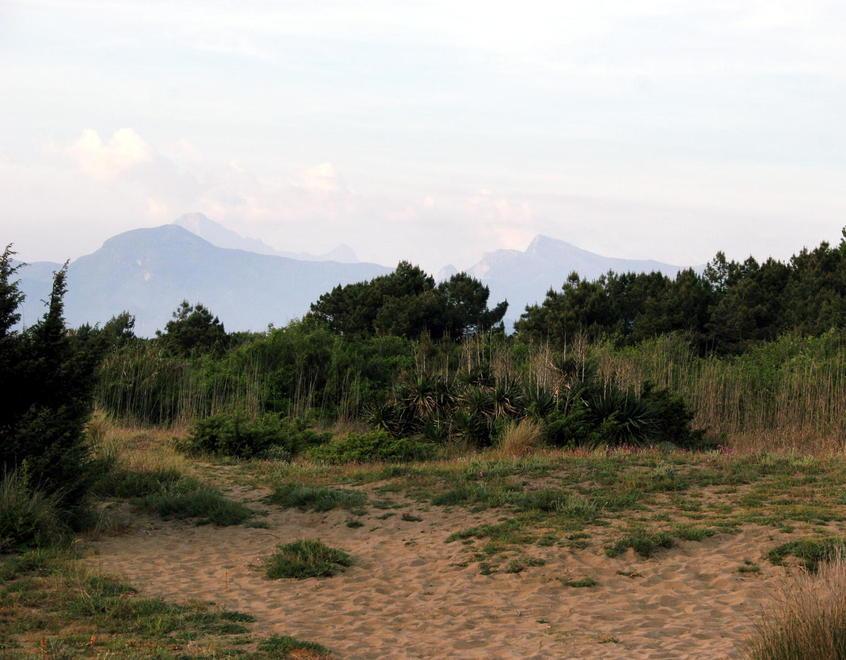 Caso Lecciona in Parlamento E cresce il fronte del no alla ciclovia tra le dune 