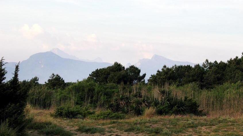 Caso Lecciona in Parlamento E cresce il fronte del no alla ciclovia tra le dune