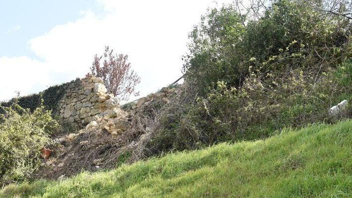 Erba alta e degrado sulle antiche mura della città
