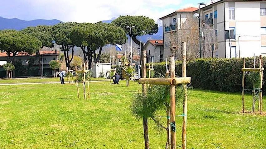 Forte rimargina la ferita del 5 marzo: ripiantate tutte le piante comunali