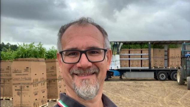 Maxipiantagione di bambù Un investimento a tutto campo