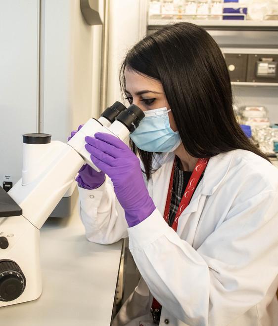 Ferrara, pronta la terapia con i monoclonali: la cura erogata a domicilio 