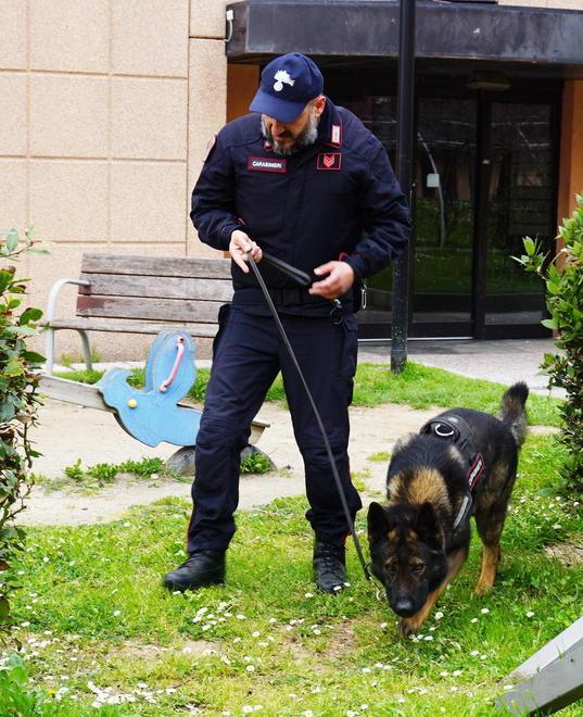 In manette un operaio con un chilo di droga 
