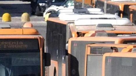 Servizio bus, oggi sciopero per tutta la giornata