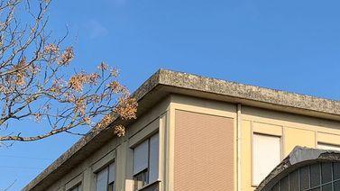 All’asta lo stabilimento della Albor Il prezzo parte da 615mila euro