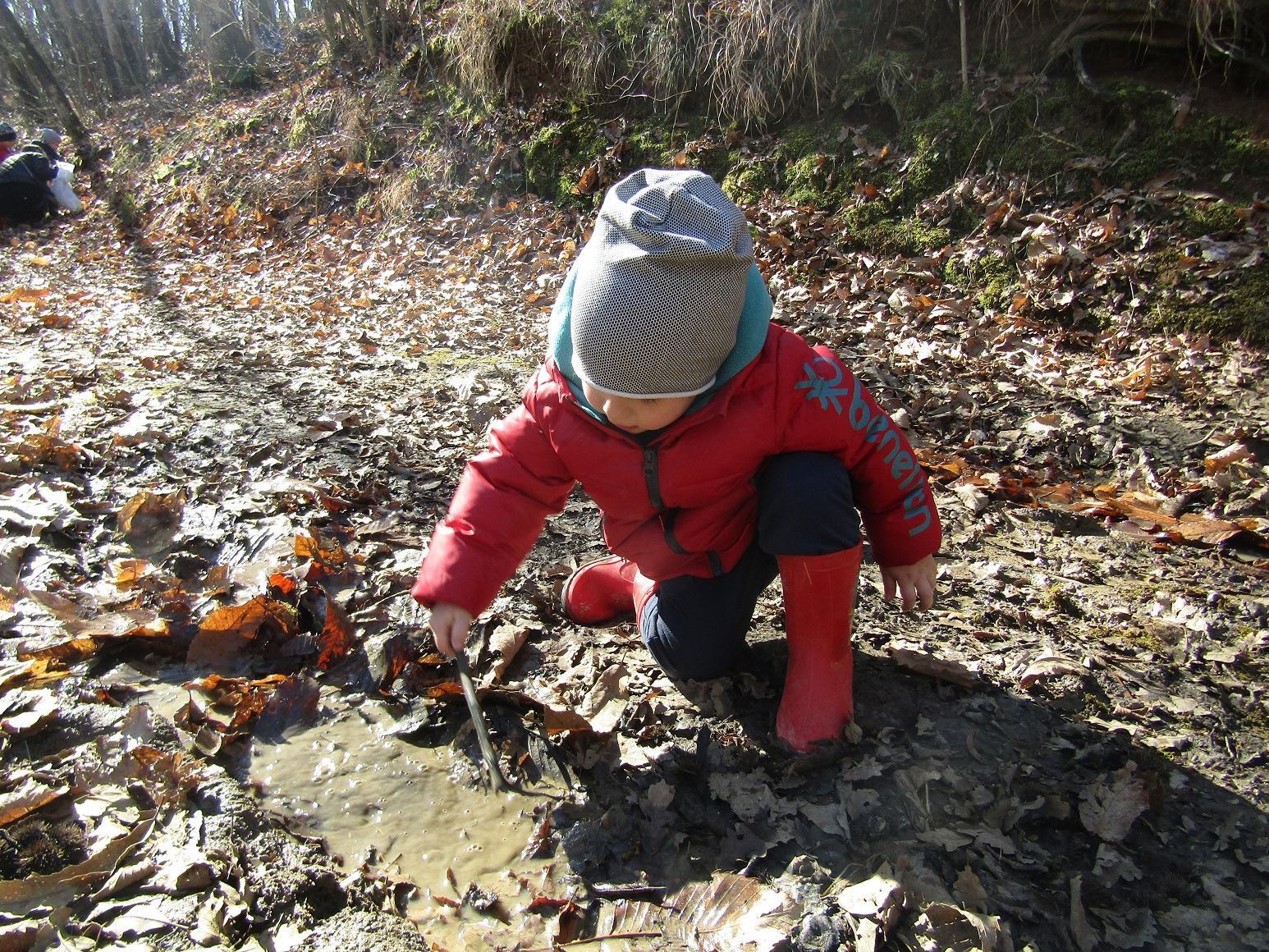 Boom di adesioni a Pavullo Scuola nel bosco per imparare da madre natura 