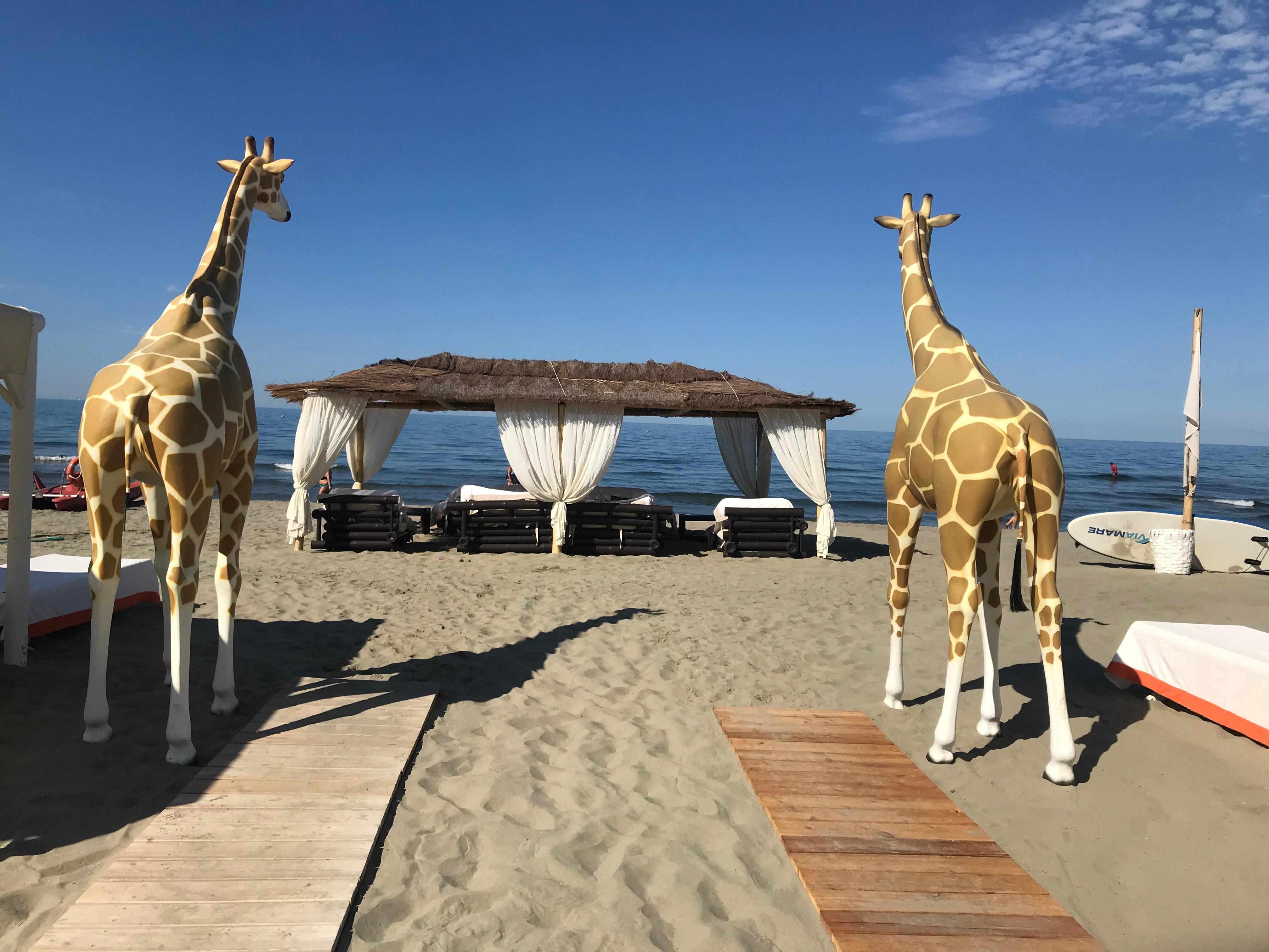 La spiaggia del Twiga