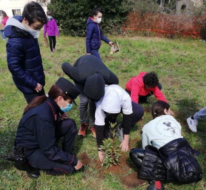 Gli studenti piantano alberi e arbusti insieme ai carabinieri