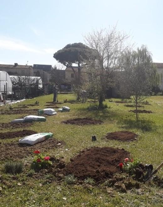 Lezioni in presenza all’aria aperta Ecco l’orto degli studenti speciali