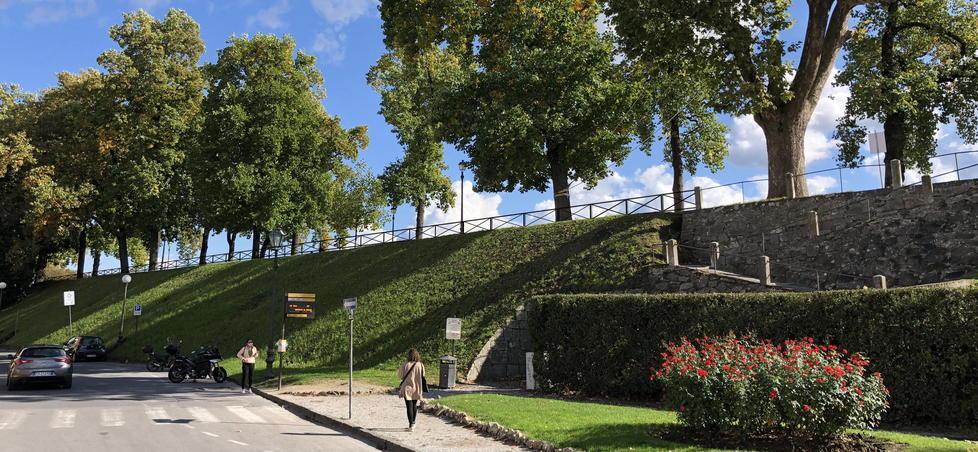 Mura di Lucca, sì ai parapetti interni: rischio taglio per una settantina di alberi