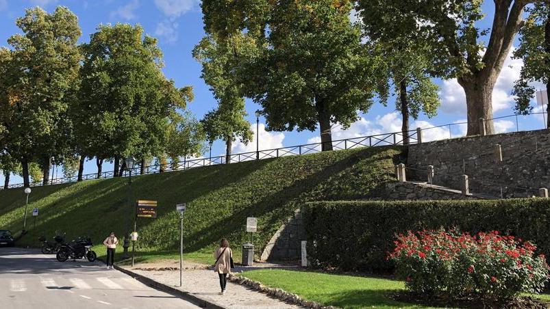 Mura di Lucca, sì ai parapetti interni: rischio taglio per una settantina di alberi
