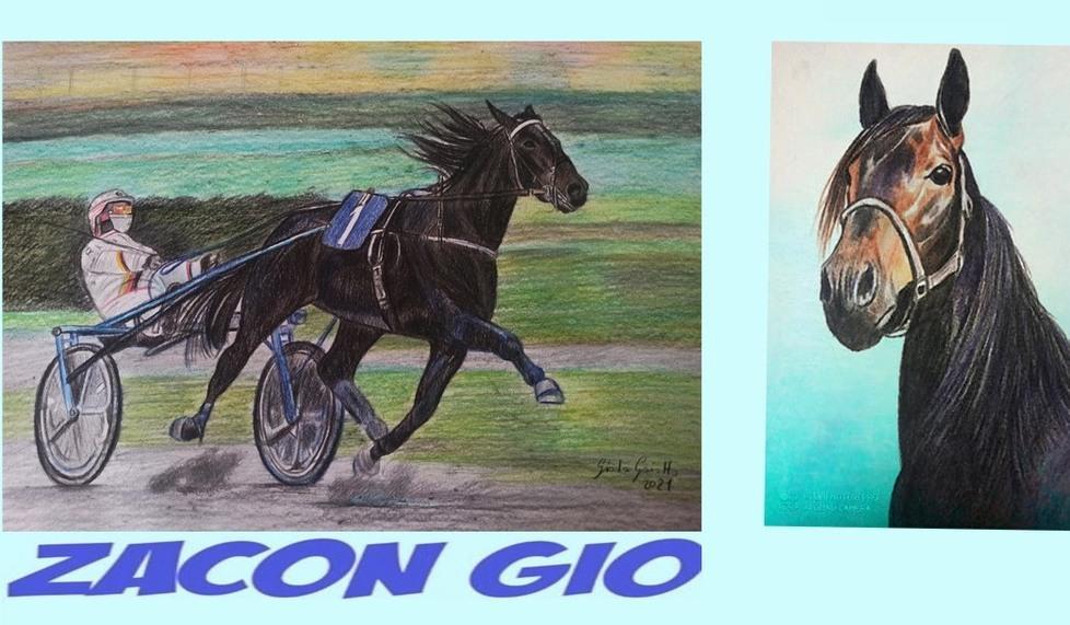 I disegni a matita del campione Zacon Gio eseguiti dalla pittrice Giada Gaiotto