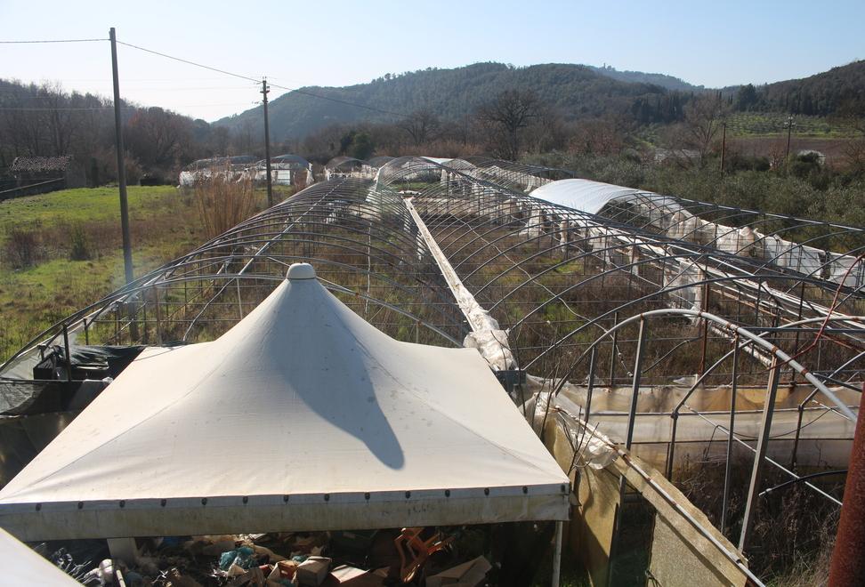 «Le serre abbandonate sono una minaccia per l’ambiente a Leccia»