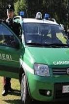 Oli esausti abbandonati e nascosti in un terreno