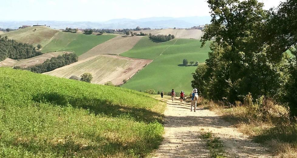 Nasce un percorso per i cavalieri lungo la Via Francigena 