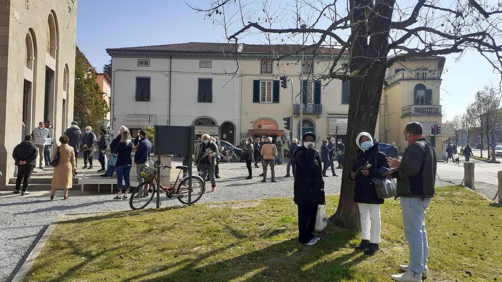 Una domenica delle palme coi rami d’olivo nel cellophane