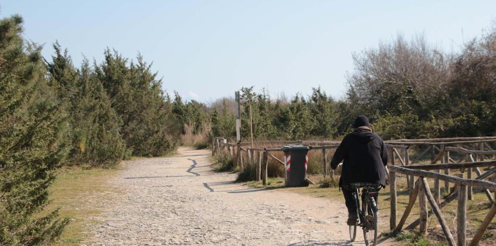 Ciclovia Tirrenica, se ne discute domani on line 