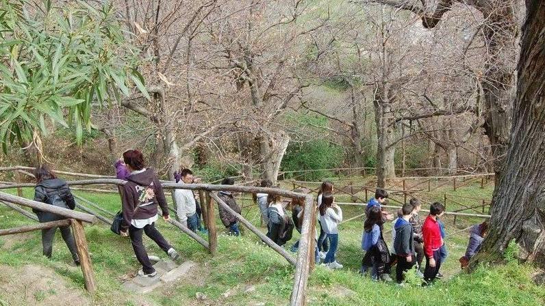 Tecniche innovative per gestire con cura il verde di Marciana