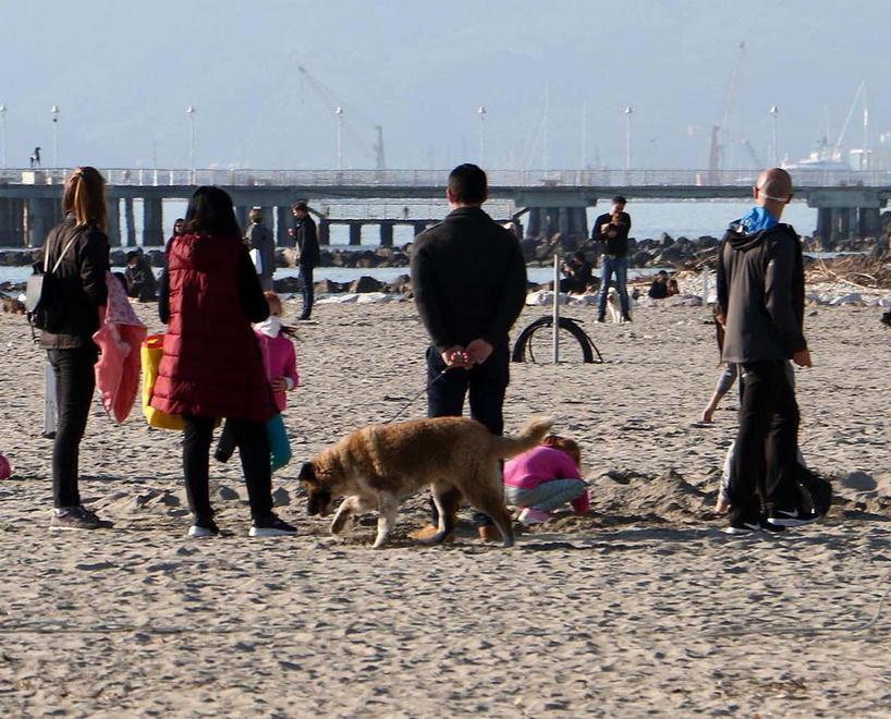 Spiagge, ora arriva mezzo milione dalla Regione 