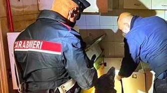 Droga incollata ai vestiti, incastrati dal cane Lion