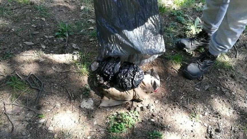 Macabra scoperta: un gatto nero chiuso in un sacco