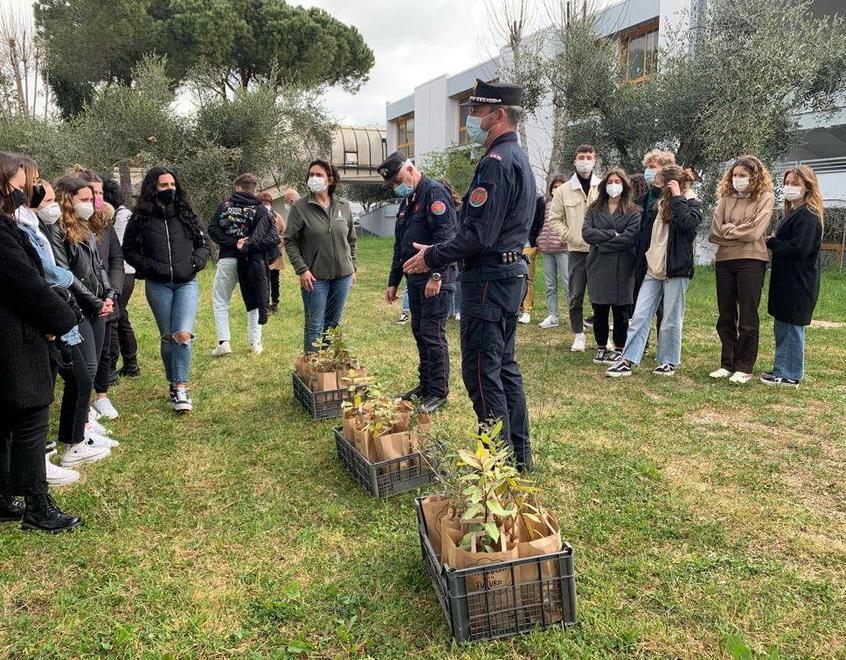 Gli studenti del liceo piantano gli alberi con i carabinieri: ecco il bosco diffuso 