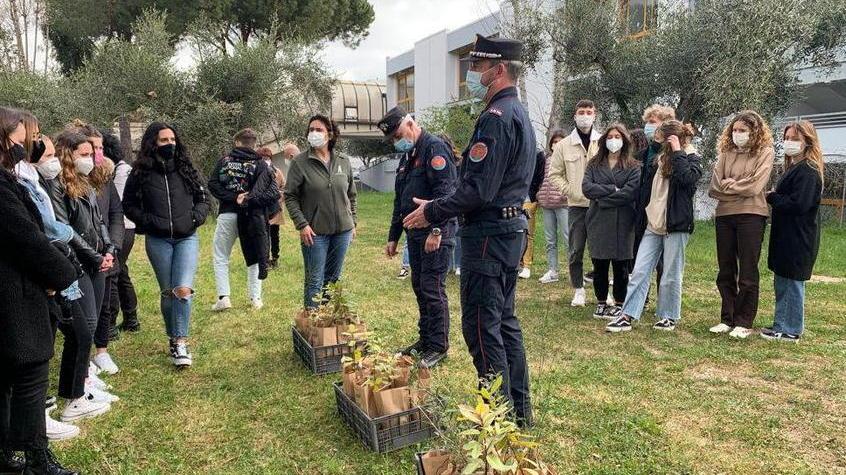 Gli studenti del liceo piantano gli alberi con i carabinieri: ecco il bosco diffuso