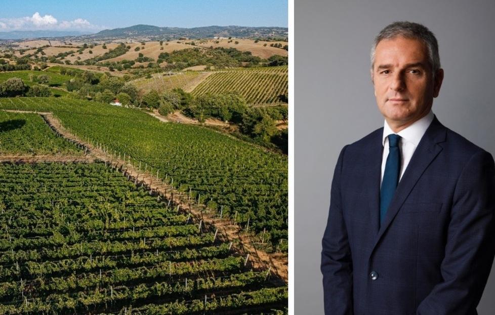 Solo energia pulita nei vigneti e nelle cantine del Morellino 