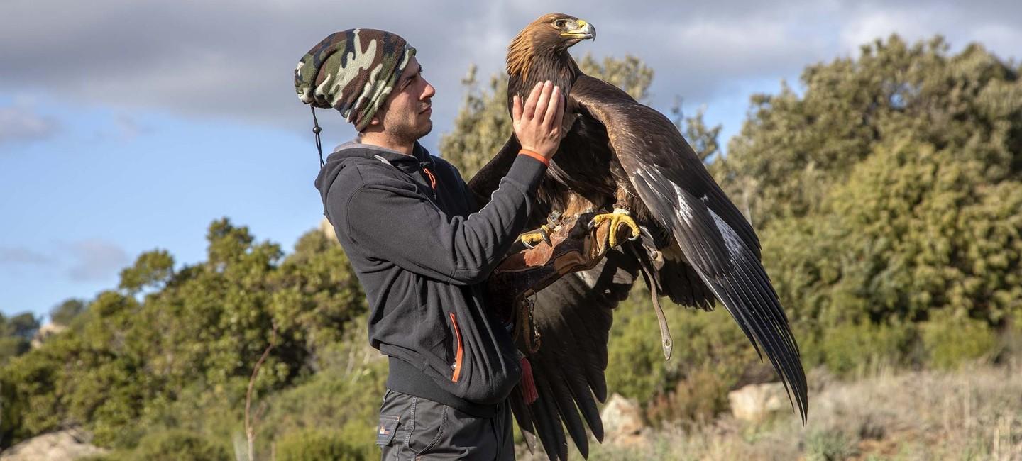Nicola, il sogno di una vita sulle ali dell’aquila reale 