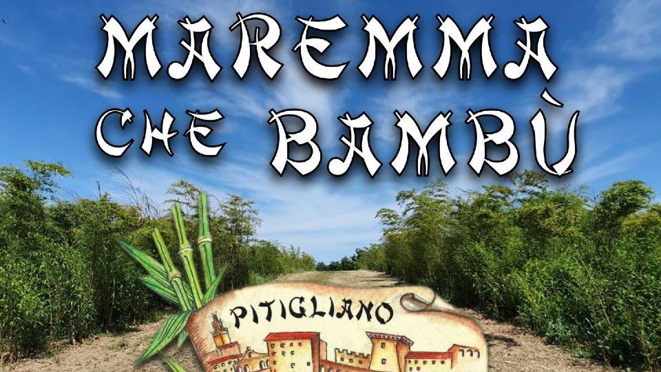 Maremma che Bambù: come ti reinvento la natura
