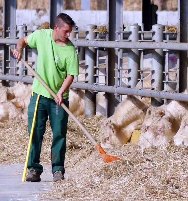 Il comitato è pronto a nuove proteste per il problema puzze 