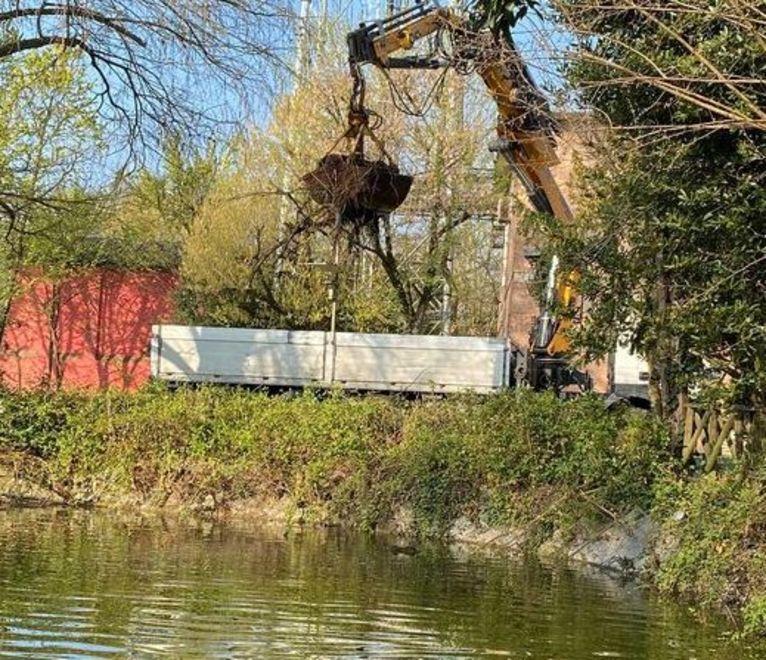 Parco urbano Iniziata la pulizia del laghetto 