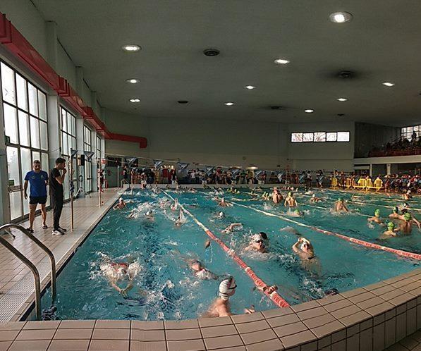 «Reggiana senza piscina, chiediamo aiuto» 