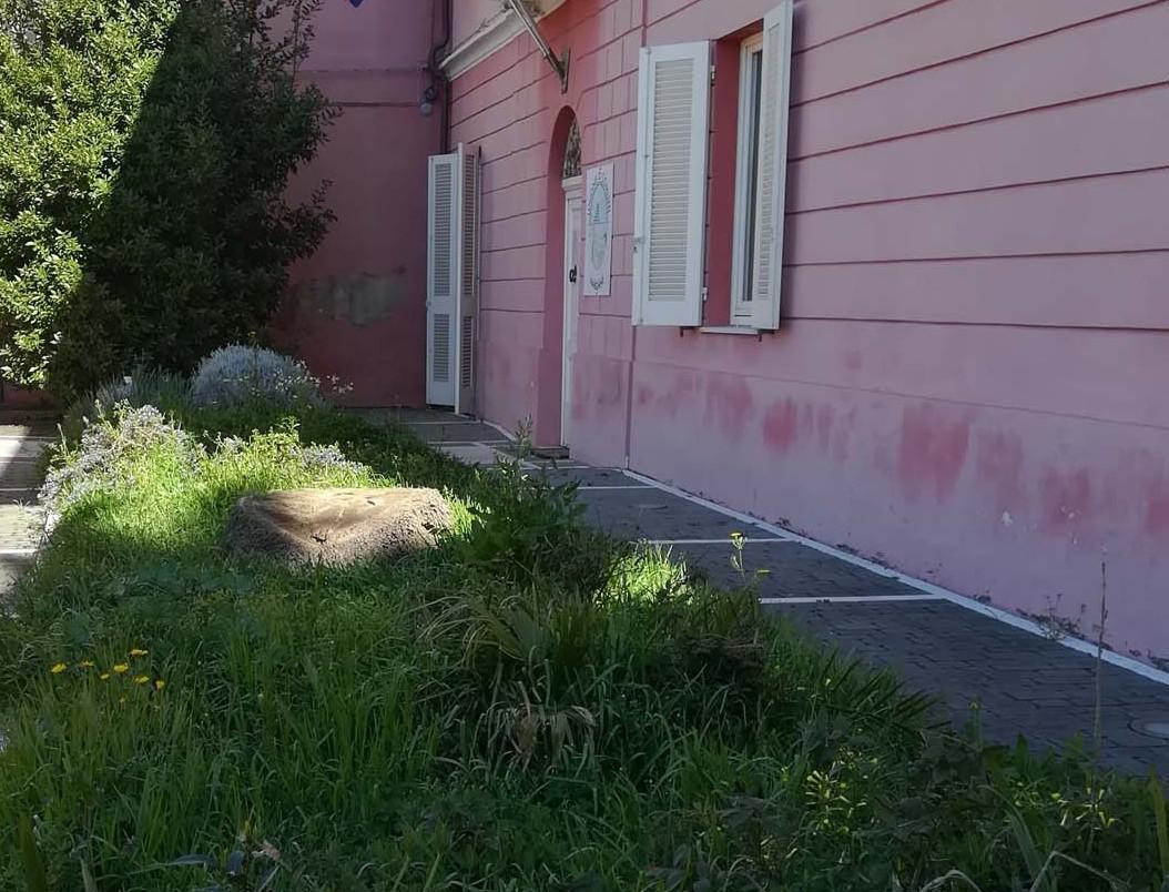 Le due palme di Villa Salmon vittime del punteruolo rosso