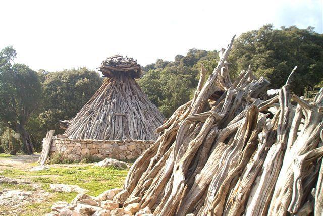 Via al recupero degli antichi pinnettos 