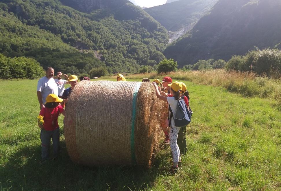 Parco delle Alpi Apuane sono 42 le guide abilitate ecco i nuovi ingressi