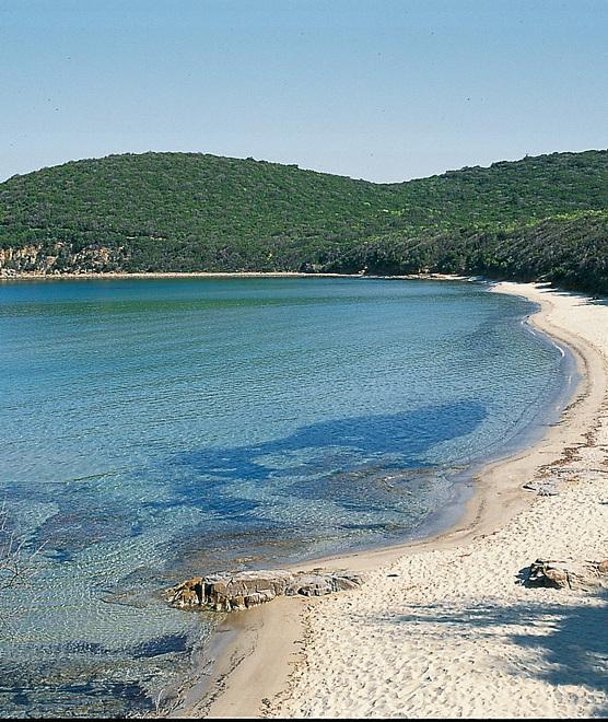 Ticket da due euro per Cala Violina Si dovrà prenotare 