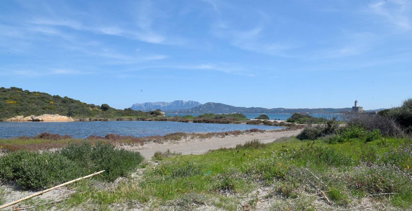 Olbia, il Grig: «Sa Testa è inedificabile. Cipnes e Comune si rassegnino»