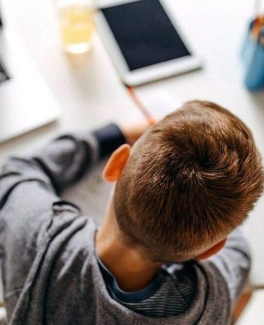 Lezione a distanza con la compagna I genitori contesteranno la multa 