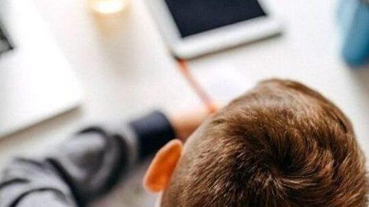 Lezione a distanza con la compagna I genitori contesteranno la multa