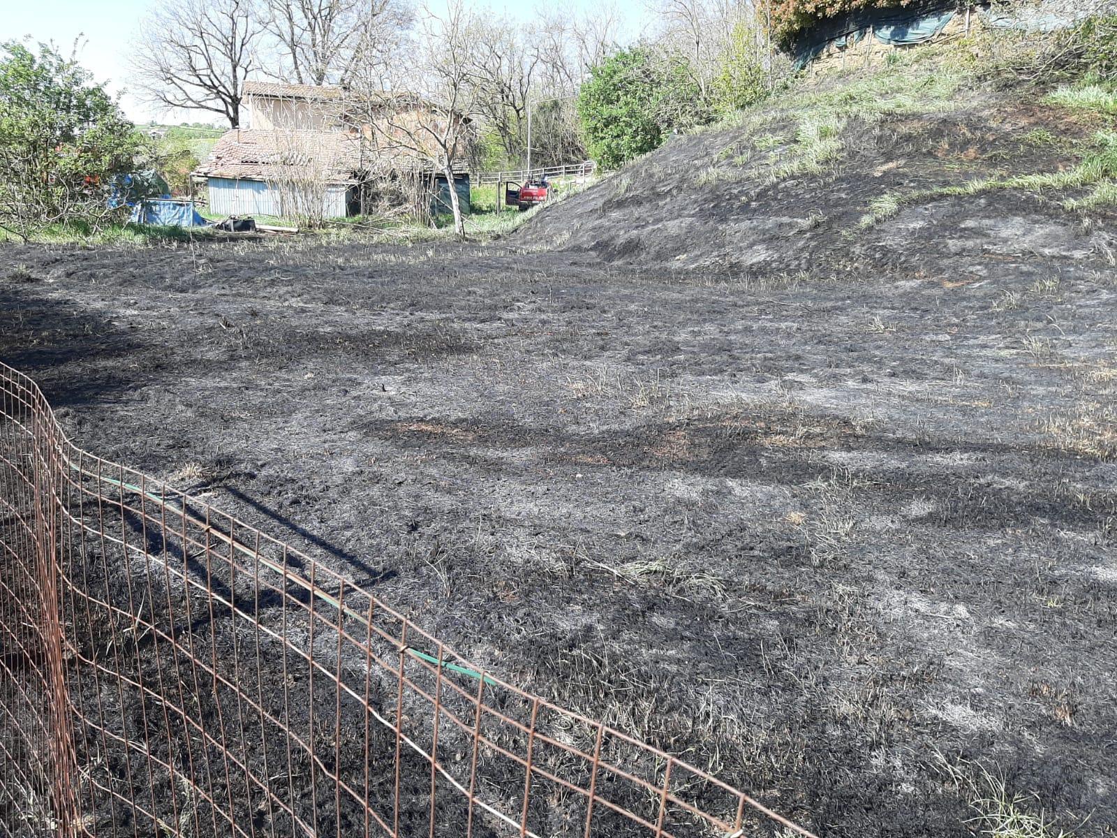 Dà fuoco alle sterpaglie e innesca un vasto incendio, denunciato 