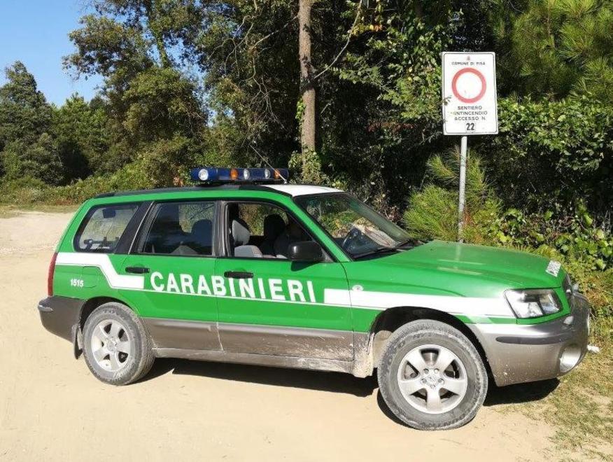 Ricattavano i campeggi di Rosignano: ecco chi sono i due forestali condannati e quanto dovranno risarcire 
