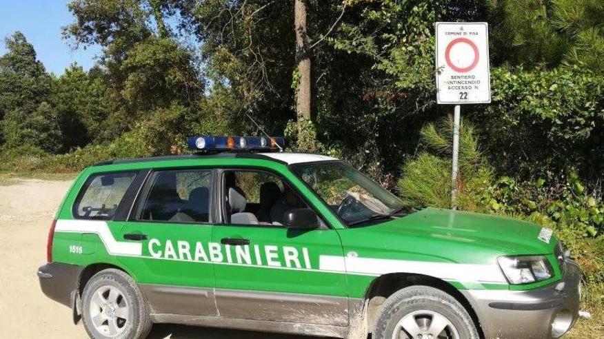 Ricattavano i campeggi di Rosignano: ecco chi sono i due forestali condannati e quanto dovranno risarcire