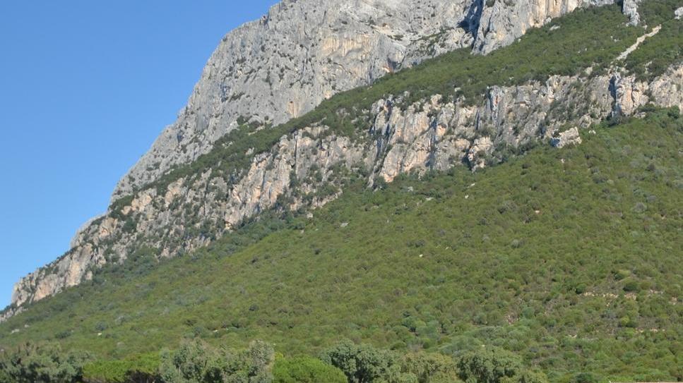 Olbia spring: 7 giorni di eventi, sport e cultura