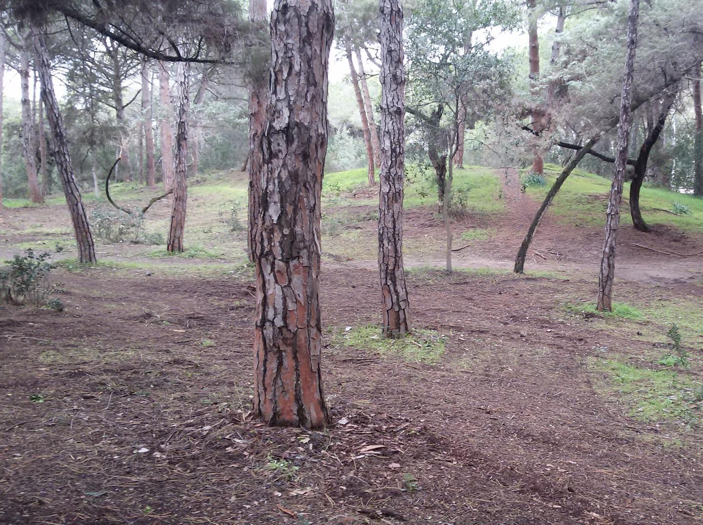 La città si fa bella, In House al lavoro 