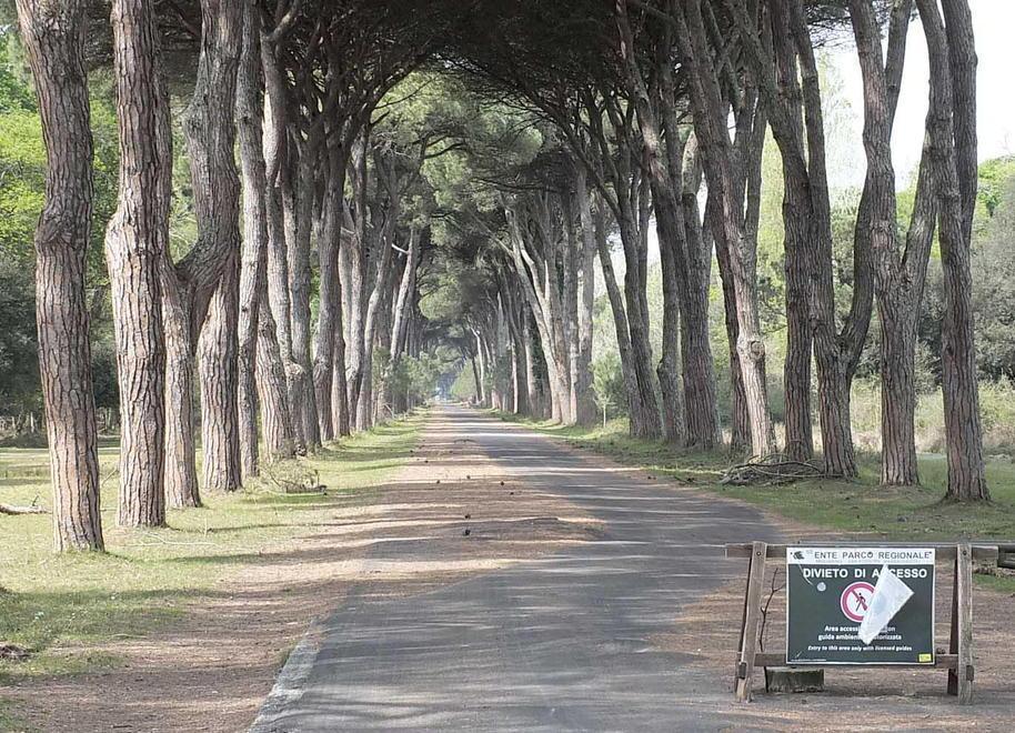 Ente Parco, in otto restano in corsa per la presidenza: ecco il terzetto dei favoriti 